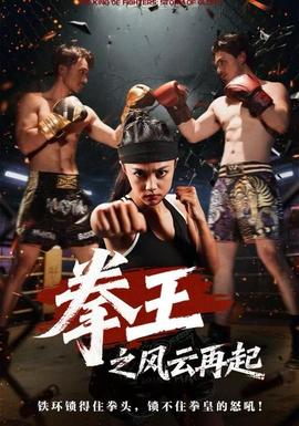 拳王之风云再起(全集)